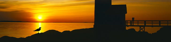 Riley Business Services